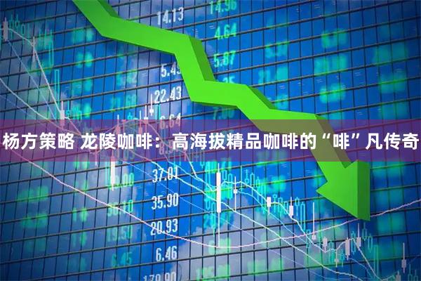 杨方策略 龙陵咖啡：高海拔精品咖啡的“啡”凡传奇